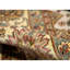 Dharma Oriental Area Rug in Ivory/Black/Khaki/Yellow/Teal