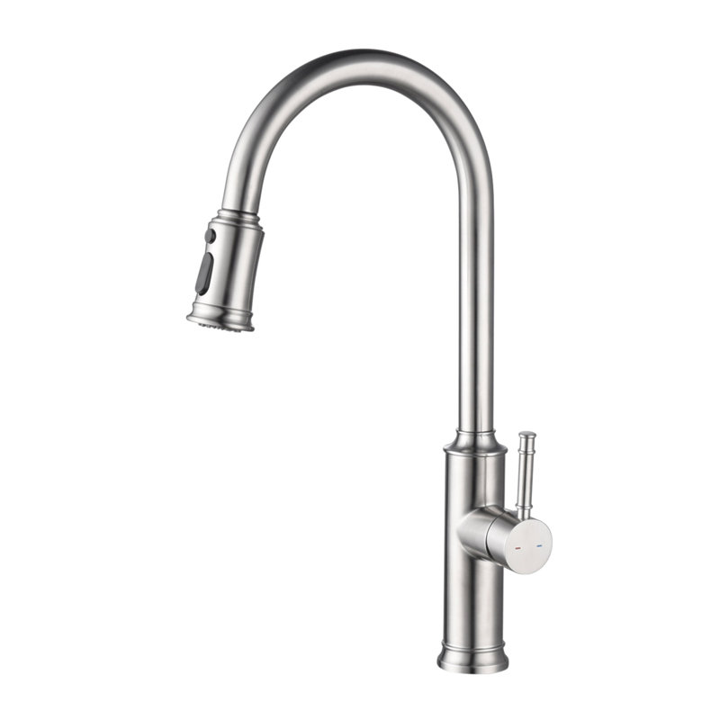 Robinet de cuisine avec douchette extractible
