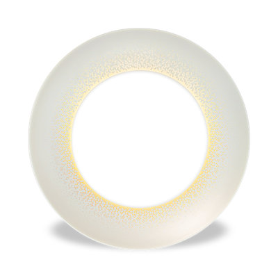 Large Dinner Plates