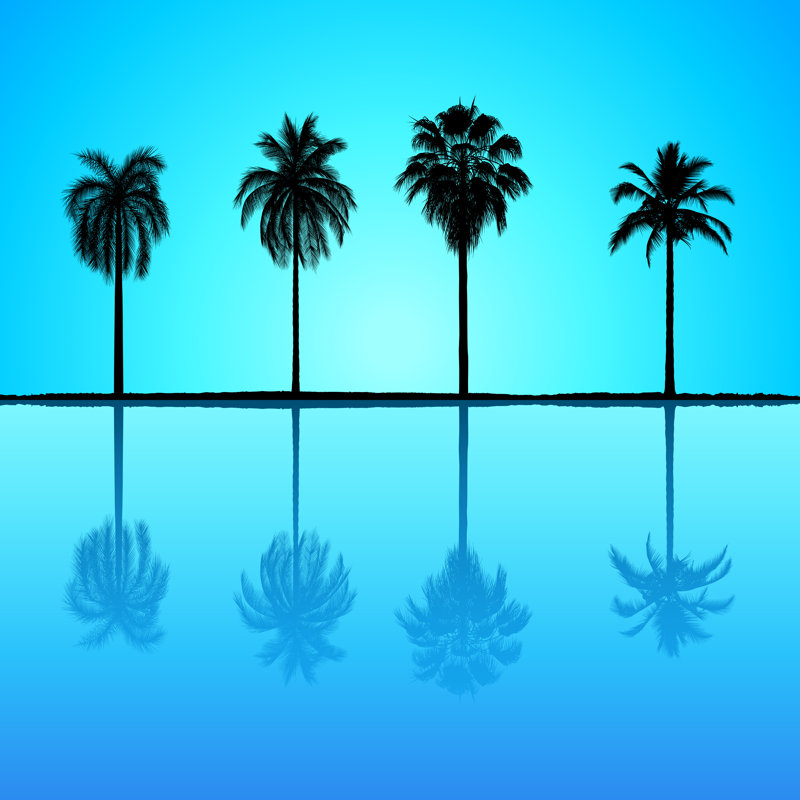Palm trees, 30cm H x 30cm W