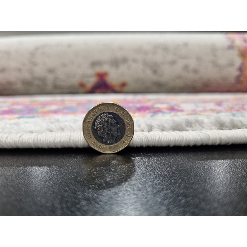 Geomar Oriental Area Rug, Rectangle 114 x 175cm
