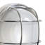 1 - Bulb Outdoor Bulkhead Light