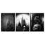 3 Piece Wrapped Canvas Print-1274037397