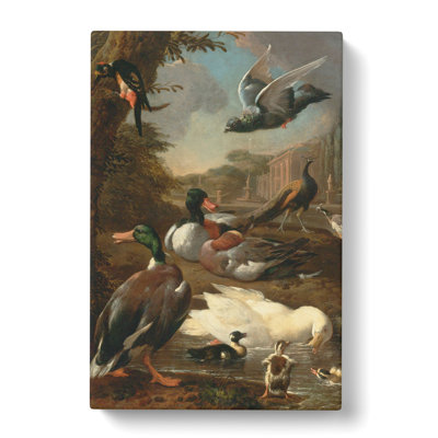 Collection Of Birds Vol.2 by Melchior D'Hondecoeter - Wrapped Canvas Painting