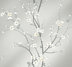 Silver Mist