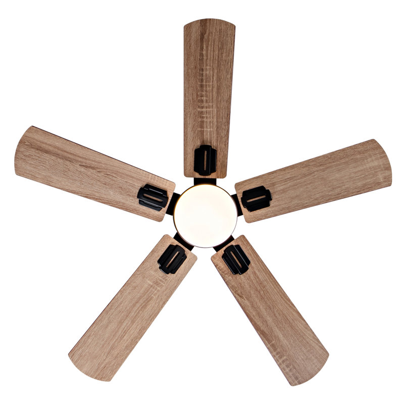 Ventilateurs de plafond à profil bas de 42 pouces avec lumière et télécommande, moteur à DEL à intensité variable et réversible, pour une utilisation à l'intérieur ou à l'extérieur de la chambre à coucher