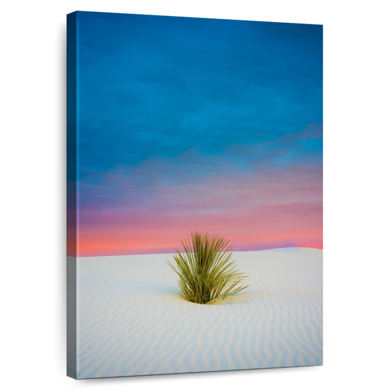 White Sands Shrub, 39" H x 26" W