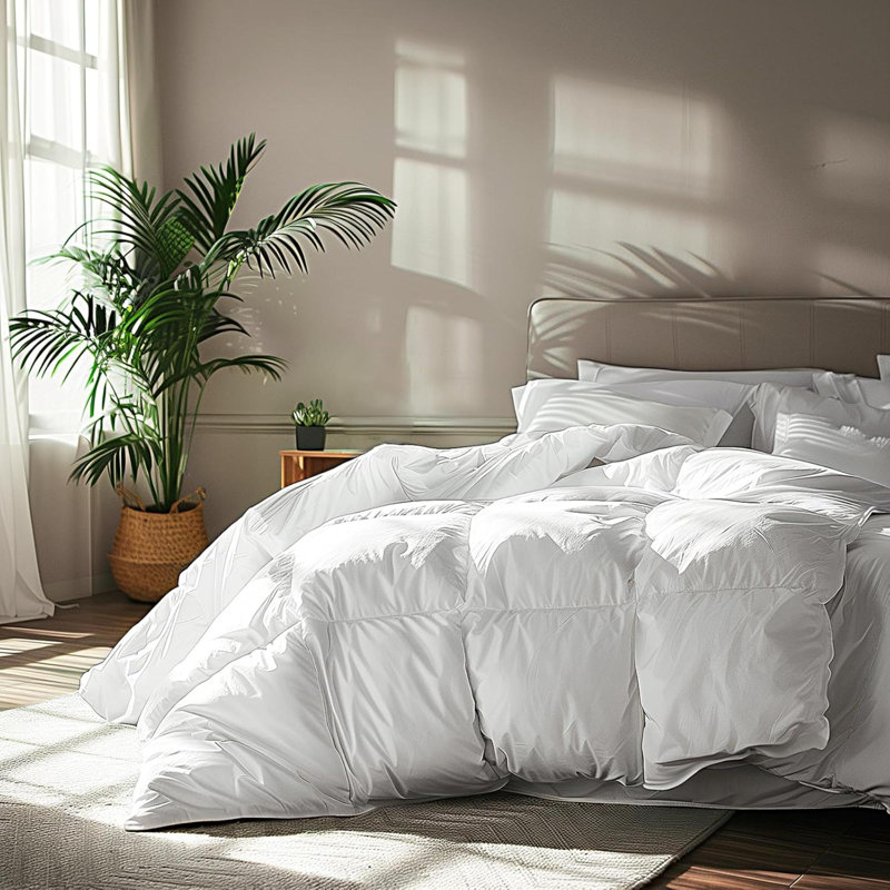Édredon en duvet de plumes et bourre de duvet 100% coton, Lit simple