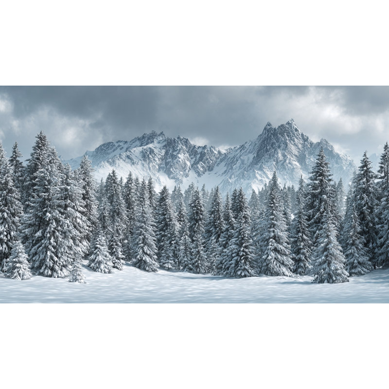 «Alpine Peaks Winter Forest», art mural sur toile tendue, H 20 po x l 40 po