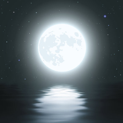 Moon Over The Water by Magnilion - Wrapped Canvas Print