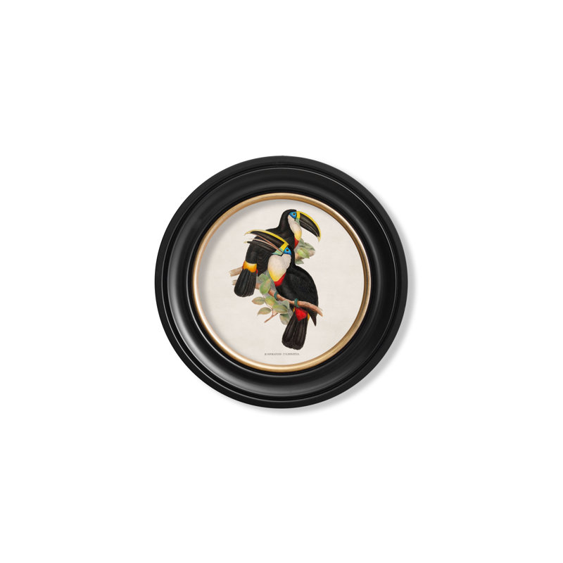 Yellow by Mid-1800s - Single Picture Frame Print on Archival Matt 230gsm Paper