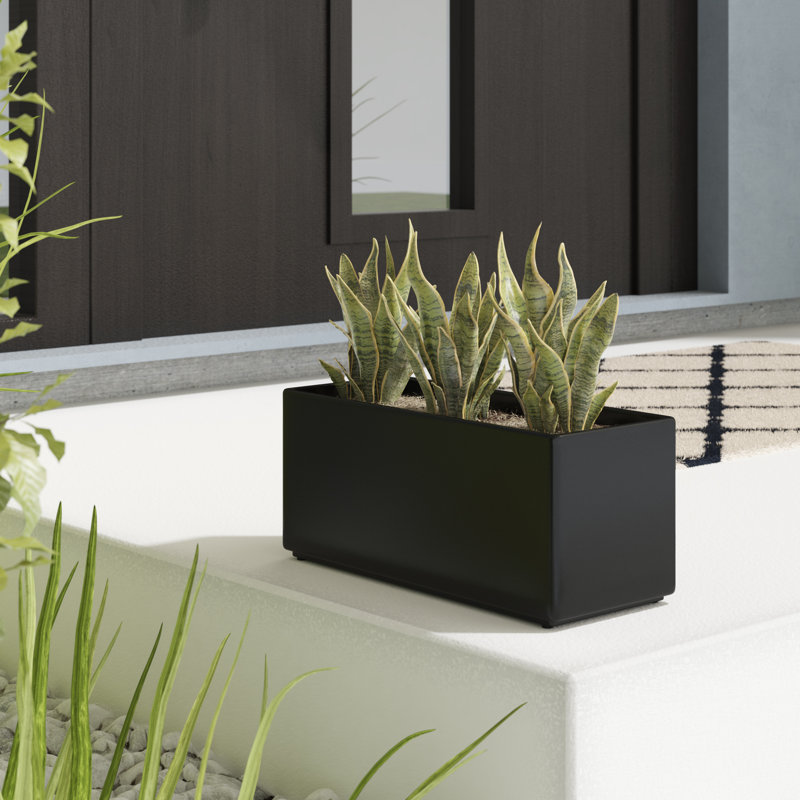 Camarena Handmade Ceramic Pot Planter, White