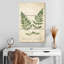 Harnek Vintage Ferns No Border-108547260