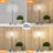 Deyontae Crystal Touch Table Lamp with USB C+A Ports, 3 Way Dimmable Lamp with Crystal Shade-2033137602-2033137603