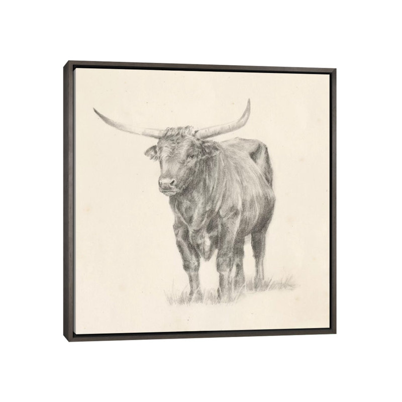 "Longhorn Steer sketch I" par Ethan Harper, reproduction d’art, H 26 po x l 26 po x P 1,5 po, Toile avec cadre gris foncé