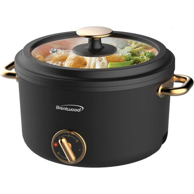 Autocuiseur électrique 2,5 litres Brentwood