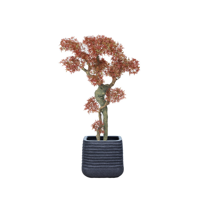 50,57 po H plante de bonsaï Real-touch, Gris