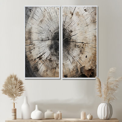 «Tree Cut Stump Beauty», art mural sur toile traditionnel