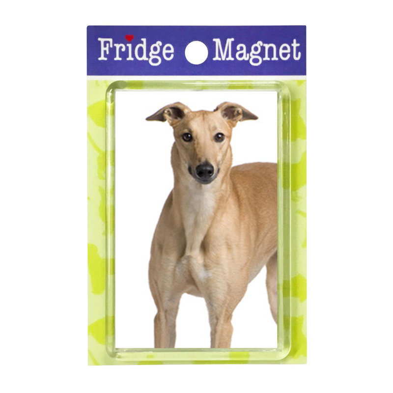 Fridge Magnet