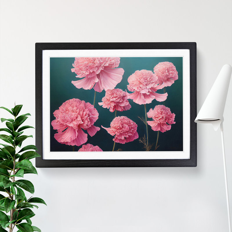 Graceful Carnation Flowers - Single Picture Frame Print, Black Framed, 46cm H x 64cm W x 2cm D