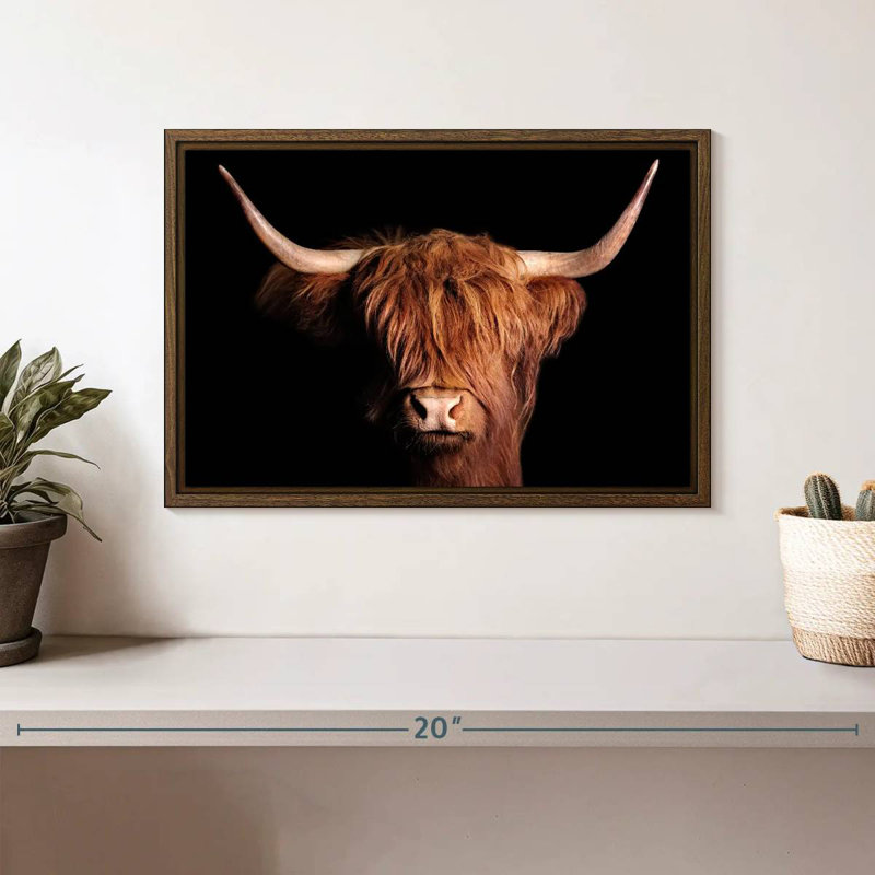 Vache écossaise Highland, 13 po x 9 po, Cadre flottant noyer