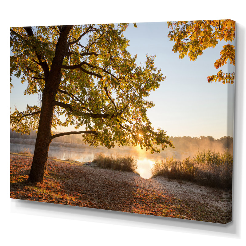 «Sunrise On Autumn Trees By The Lake II», œuvre d'art traditionnelle sur toile, H 8 po x l 12 po, Toile tendue