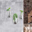 Ceramic Wall Planter-1679752901