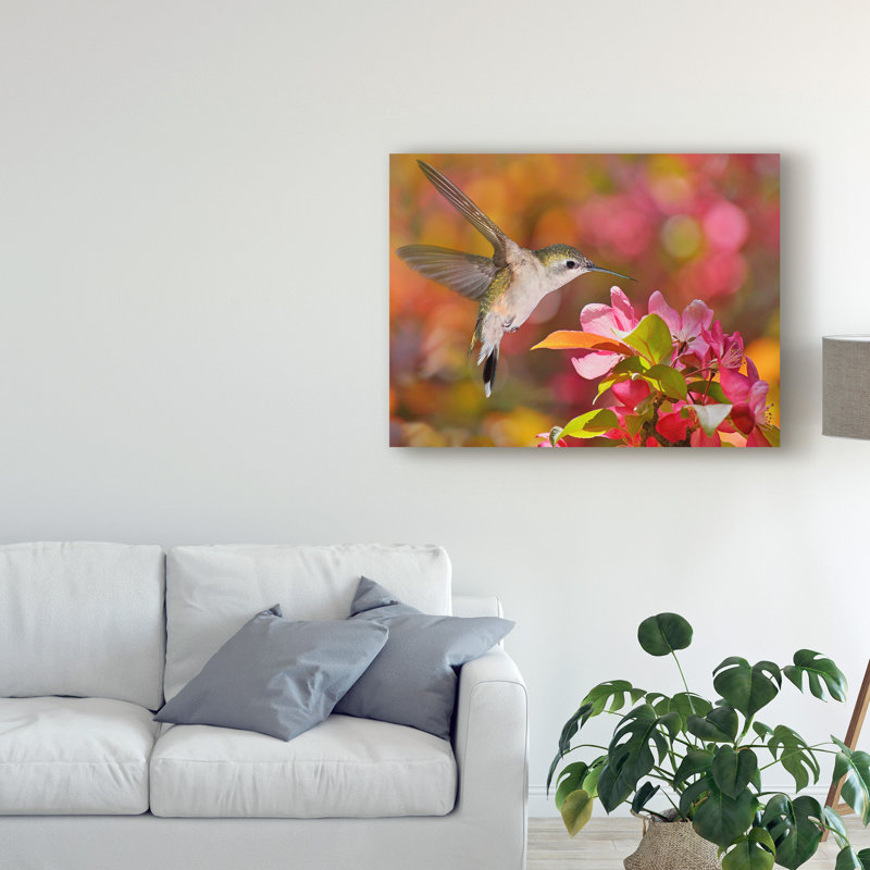 «The Flower Dance IX» par Leda Robertson - reproduction de photo sur toile, H 35 po x l 47 po x P 2 po