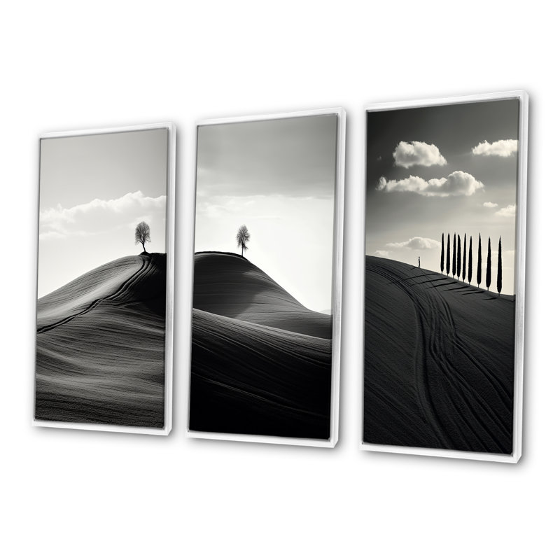 Paysage de désert noir et blanc, H 28 po x l 36 po, Cadre flottant blanc