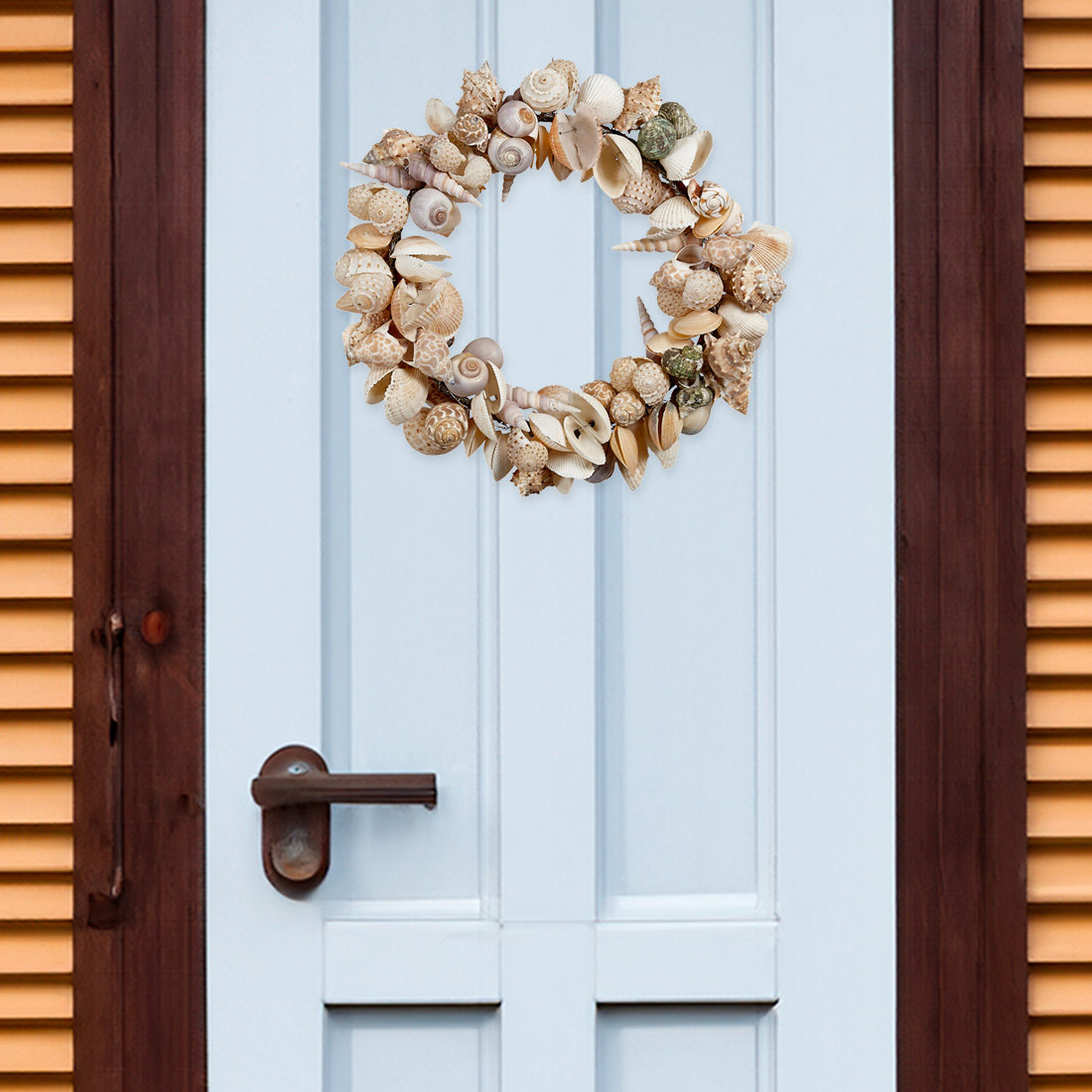 Highland Dunes Natural Shell Wreath & Reviews | Wayfair