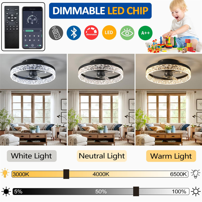 Ceiling Fan with LED Lights