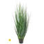 Herbe d'agave en pot 48 po UV-1828168914