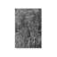 «Joe Pye Weed» par Tony Smith, reproduction d'art sur toile-970770136