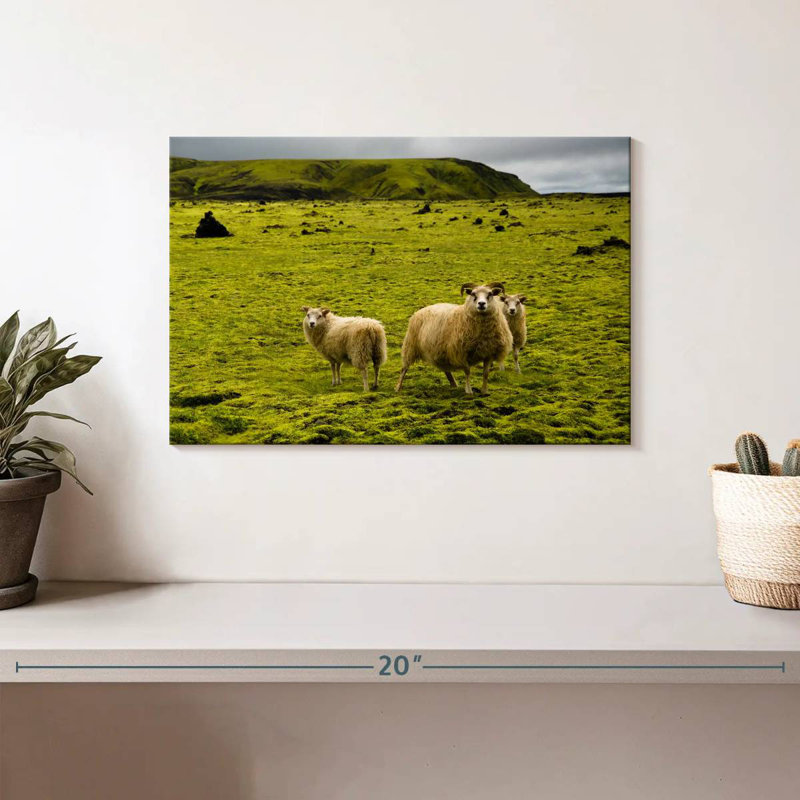 Crowle Icelandic Sheep, 8" H x 12" W