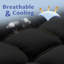 Protège-matelas 2 po Bryes Alwyn Home-214075103-214075100