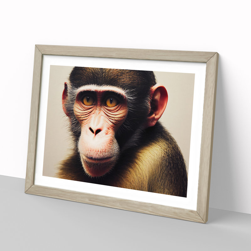 Monkey - Framed Print, 46cm H x 64cm W x 2cm D, Oak Framed