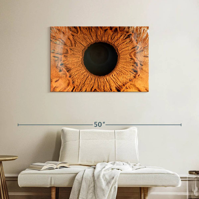 Alcaraz Brown Iris, 24" H x 36" W