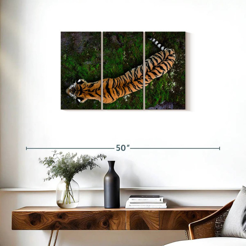 Brampt Tiger From Above, 20" H x 33" W