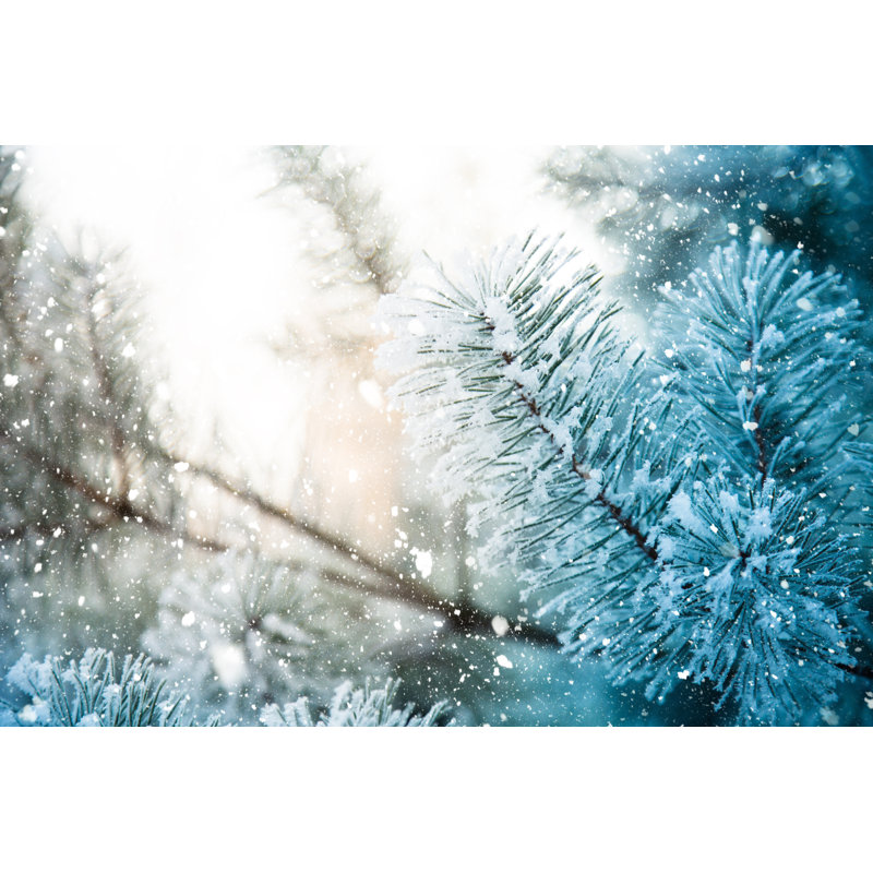 Winter Scene 1 Piece Wrapped Canvas Wall Art, 61cm H x 91cm W x 3.8cm D