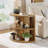 Set Of 2 Half Round Side Table