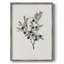 Impression florale vintage encadrée CLXV - bois massif-413263454