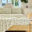 Ensemble de draps 100% coton-102832030-116415333