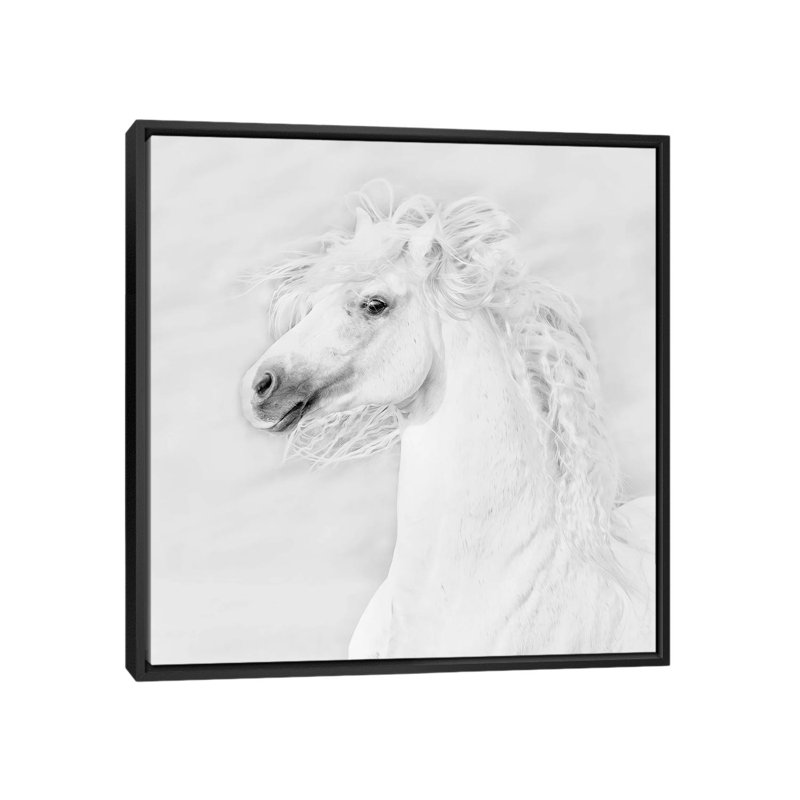 « b&w à cheval iii », impression sur toile, H 18 po x l 18 po x P 1,5 po, Toile avec cadre noir, Pas de tapis
