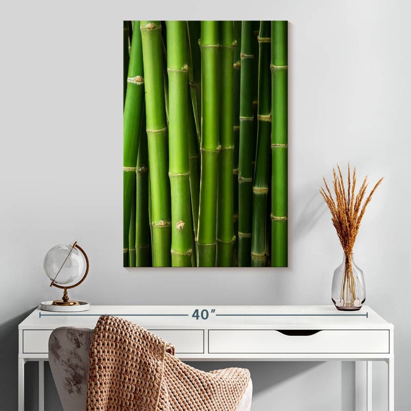 Harnek Bamboo Trunks, 30" H x 20" W