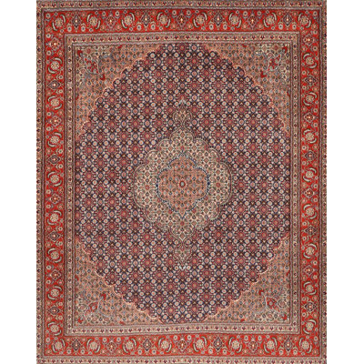 Oriental Indoor Rug