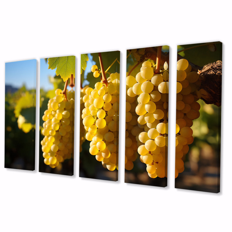 Golden Grapes Vineyard II - salon d'art mural de ferme - 5 panneaux égaux
