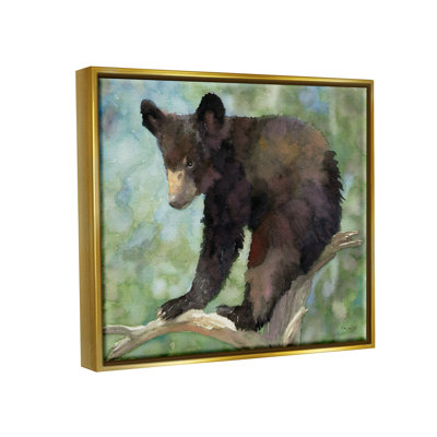 " Bear Cub Forest Tree Wildlife "