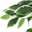Faux Ficus Tree in Pot-761116808