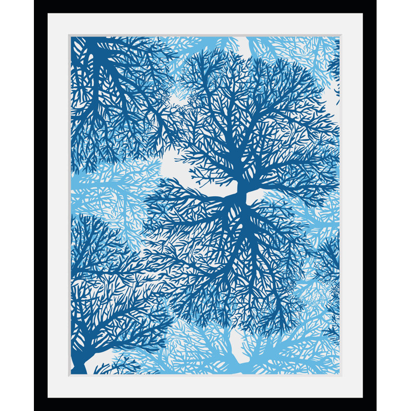 Seaweed - Single Picture Frame Print