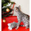 Pet Bed-9260445-9260446